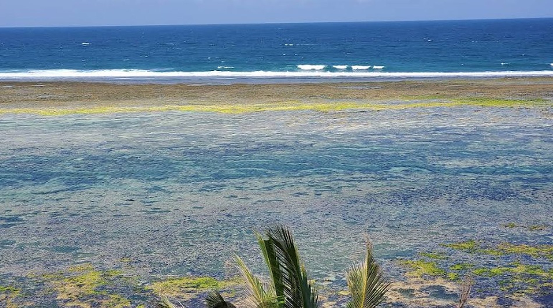 Reef and ocean at low tide